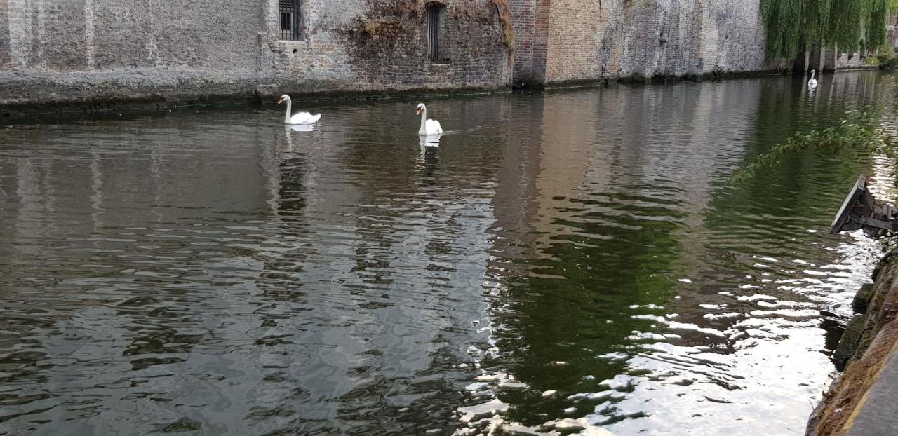 B&B Heart Of Brugge Ngoại thất bức ảnh